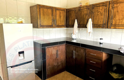 1 Bed Furnished Apt. For Rent In L/stone