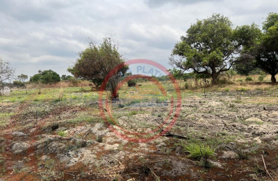 15 acres smallholding for sale in Kabwe