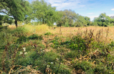 16 Acre Small Holding for sale in Livingstone