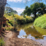 16 Acre Small Holding for sale in Livingstone