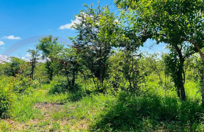 20 Acres Prime Land for sale in Livingstone