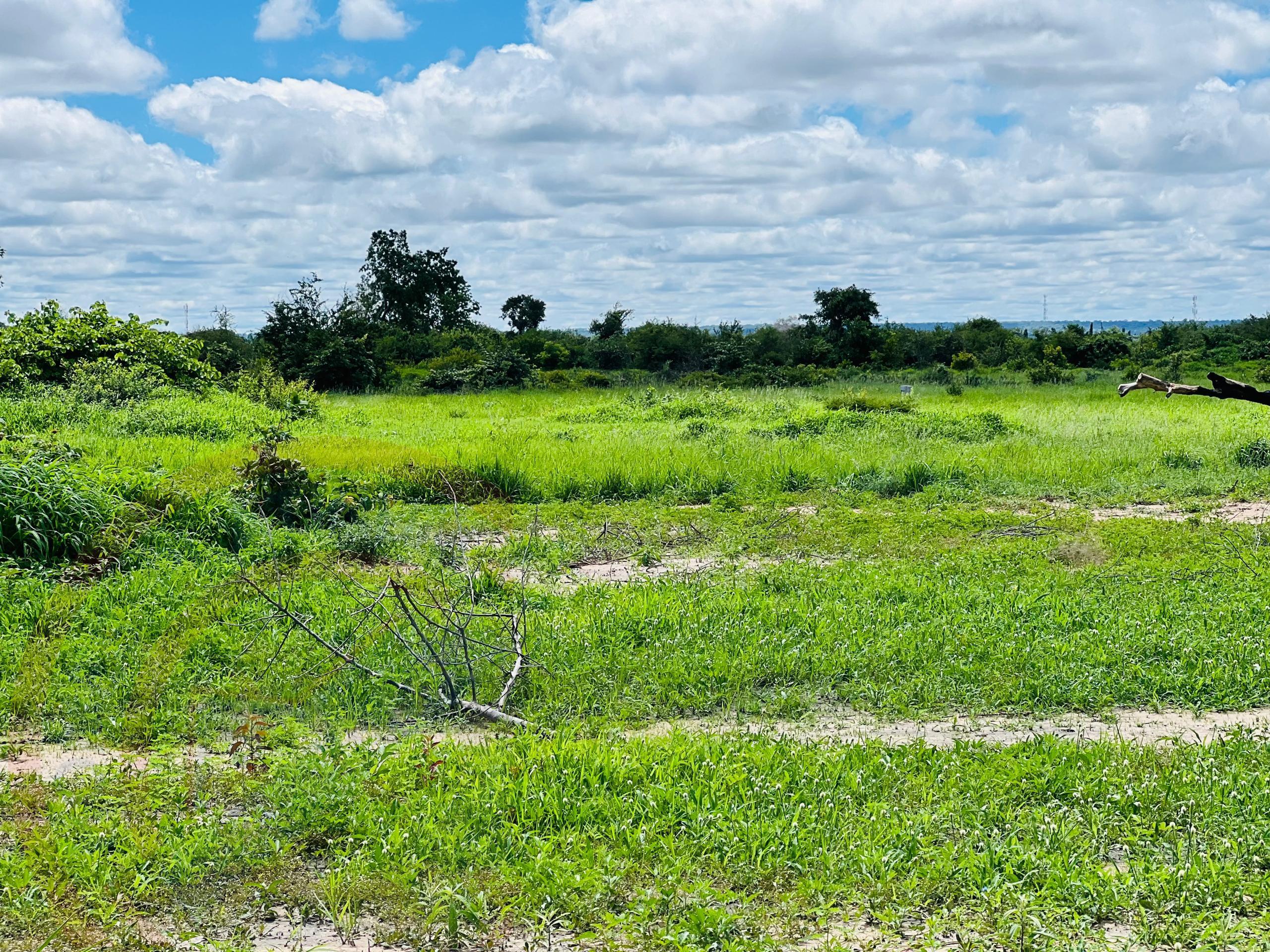 Plots for Sale Off Nakatindi Road Livingstone