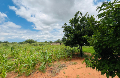 4 bedroom House for Sale in Highlands - Livingstone