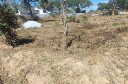 Residential Plot for sale in State Lodge