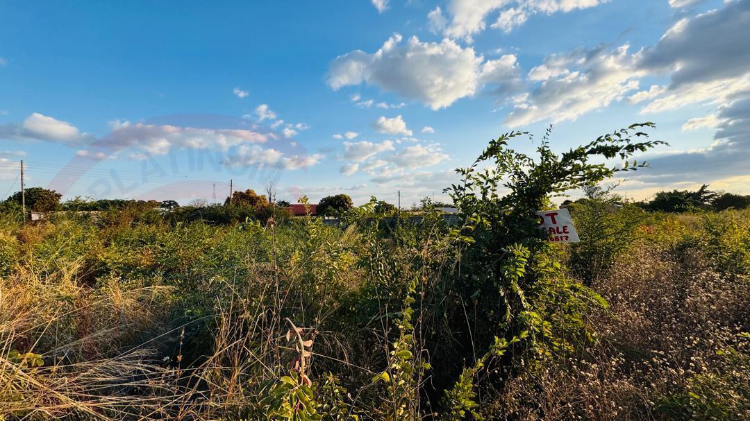 Plot for sale in Highlands Livingstone