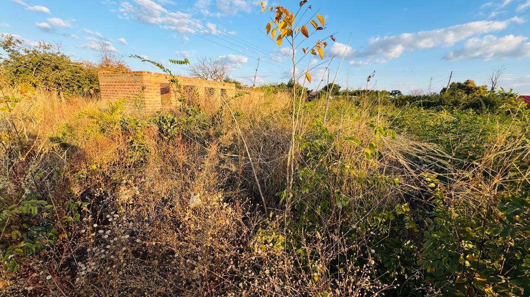 Plot for sale in Highlands Livingstone