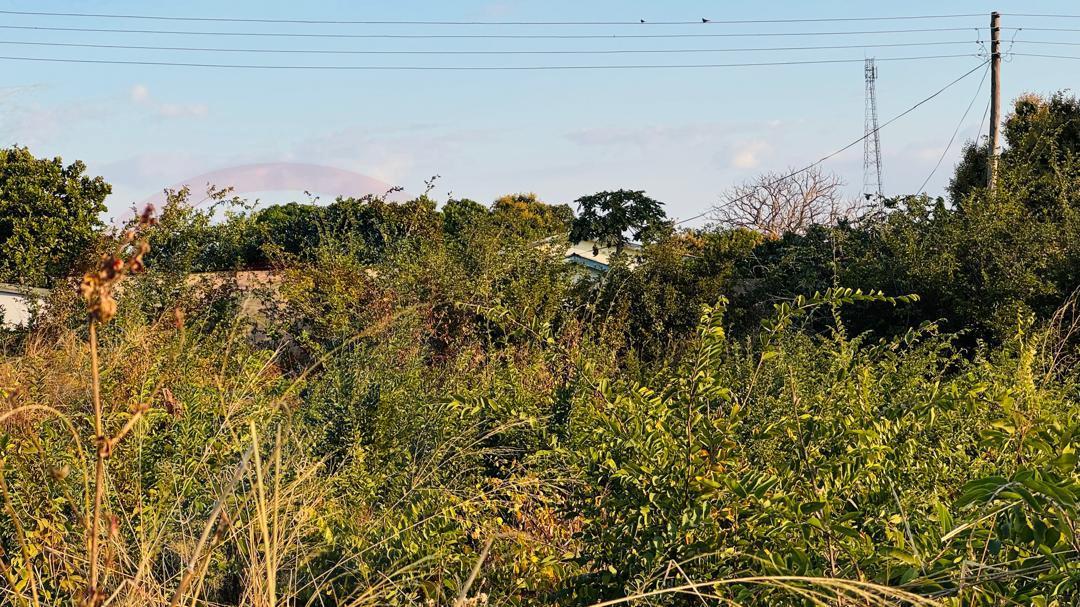 Plot for sale in Highlands Livingstone