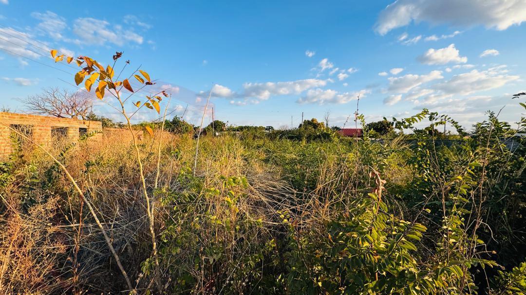Plot for sale in Highlands Livingstone
