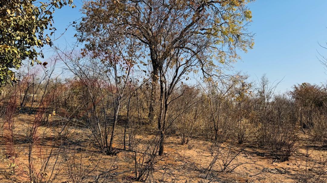 Vacant plot for Sale in Highlands