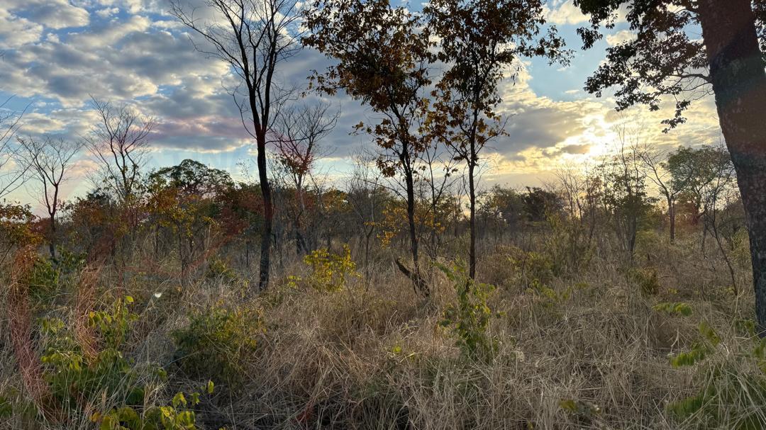 Residential Plots for Sale In Livingstone - Highlands