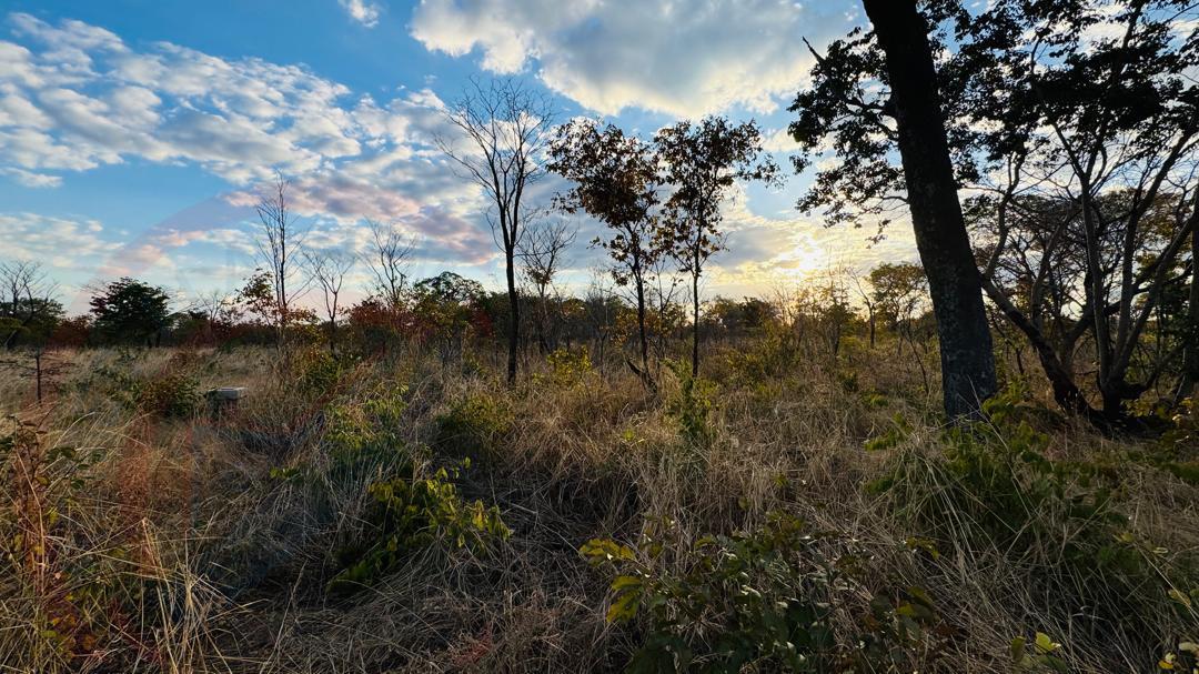 Residential Plots for Sale In Livingstone - Highlands