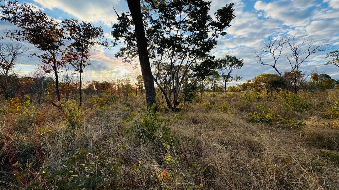 Residential Plots for Sale In Livingstone - Highlands