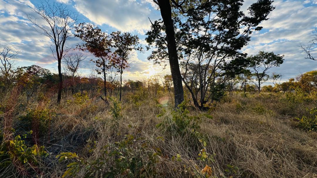 Residential Plots for Sale In Livingstone - Highlands