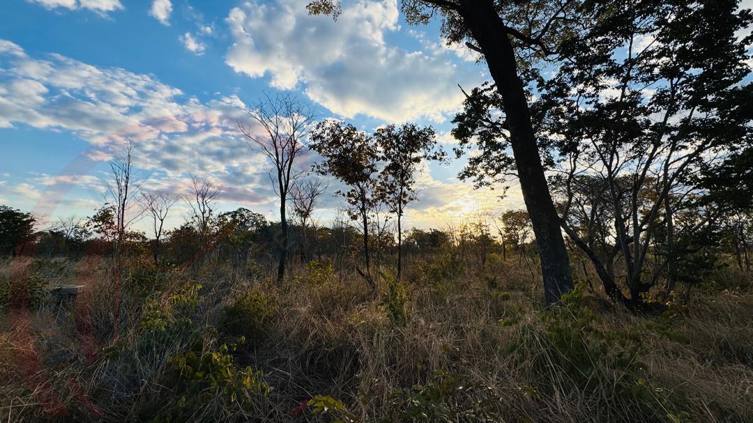 Residential Plots for Sale In Livingstone - Highlands