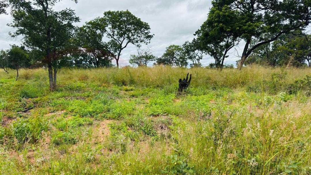 Plots for Sale Along Lusaka Road In Livingstone - Near Toll gate