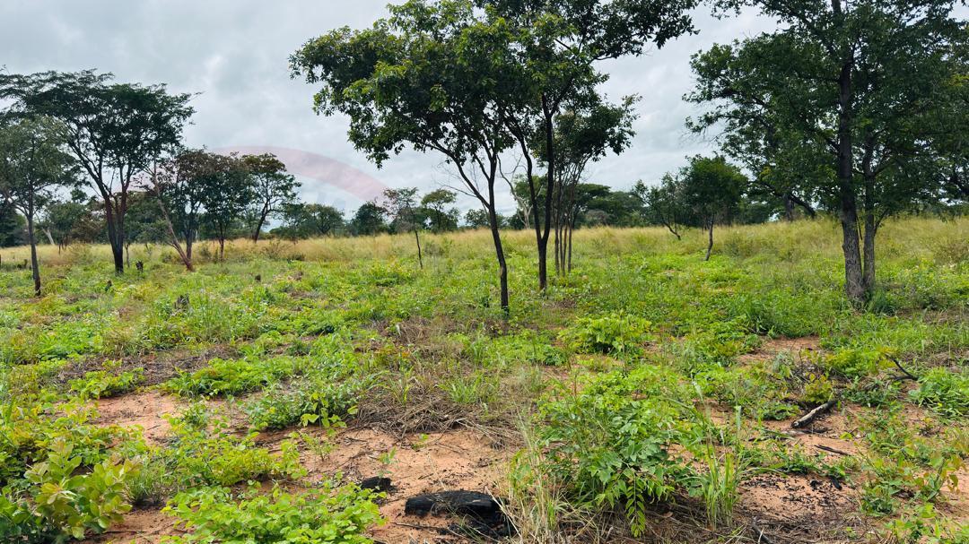 Plots for Sale Along Lusaka Road In Livingstone - Near Toll gate