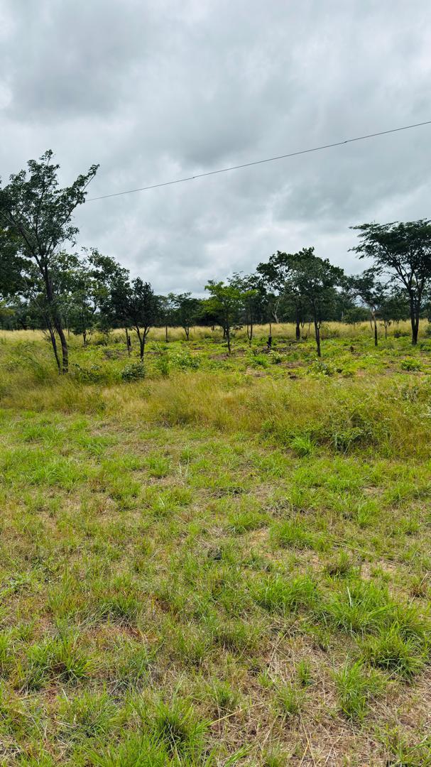 Plots for Sale Along Lusaka Road In Livingstone - Near Toll gate