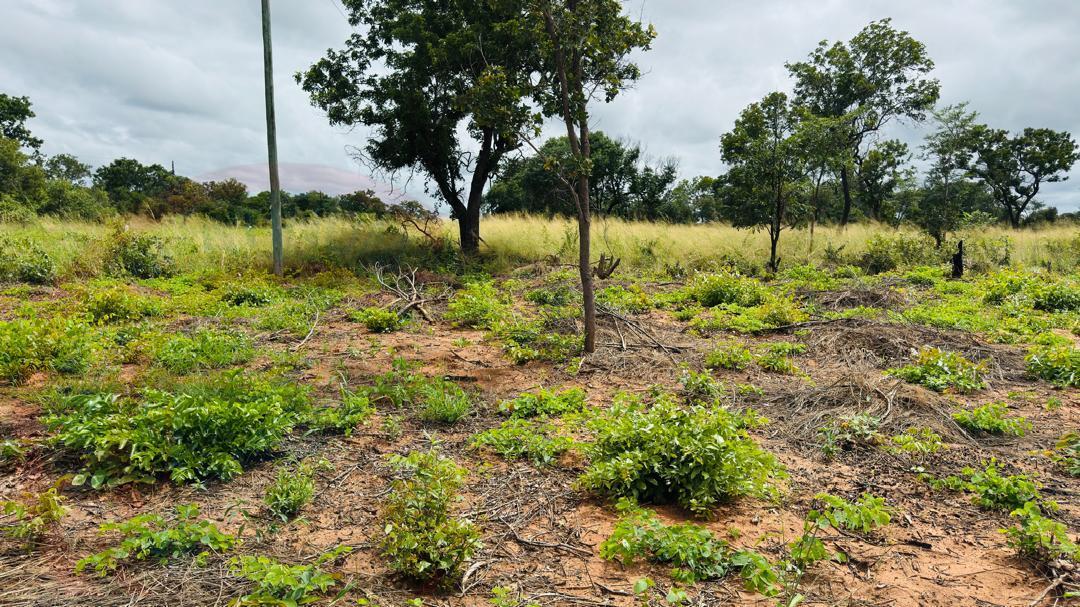 Plots for Sale Along Lusaka Road In Livingstone - Near Toll gate