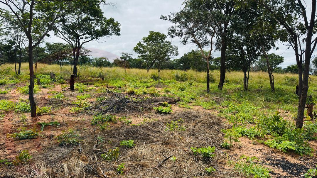 Plots for Sale Along Lusaka Road In Livingstone - Near Toll gate