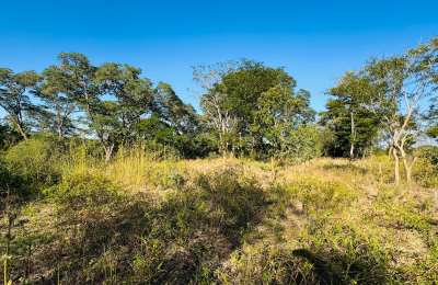 252 Hectares of farm land for sale in Zimba district