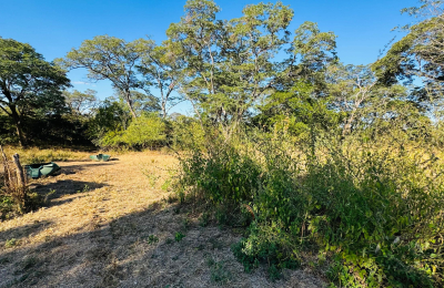 252 Hectares of farm land for sale in Zimba district