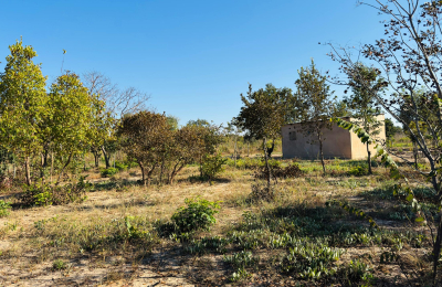 Affordable plot for sale in Highlands