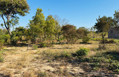 Affordable plot for sale in Highlands