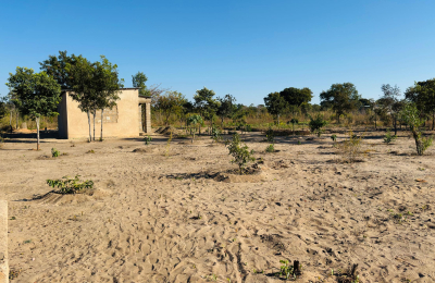 Affordable plot for sale in Highlands