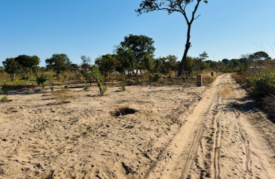 Affordable plot for sale in Highlands