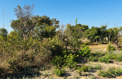 Affordable plot for sale in Highlands