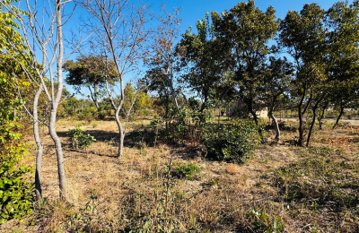 Affordable plot for sale in Highlands