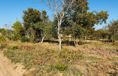 Affordable plot for sale in Highlands