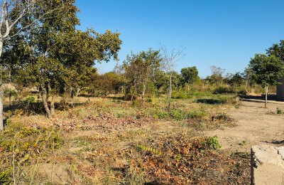 Affordable plot for sale in Highlands