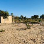 Affordable plot for sale in Highlands