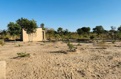Affordable plot for sale in Highlands