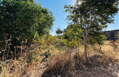 Residential plot for sale with unfinished structure