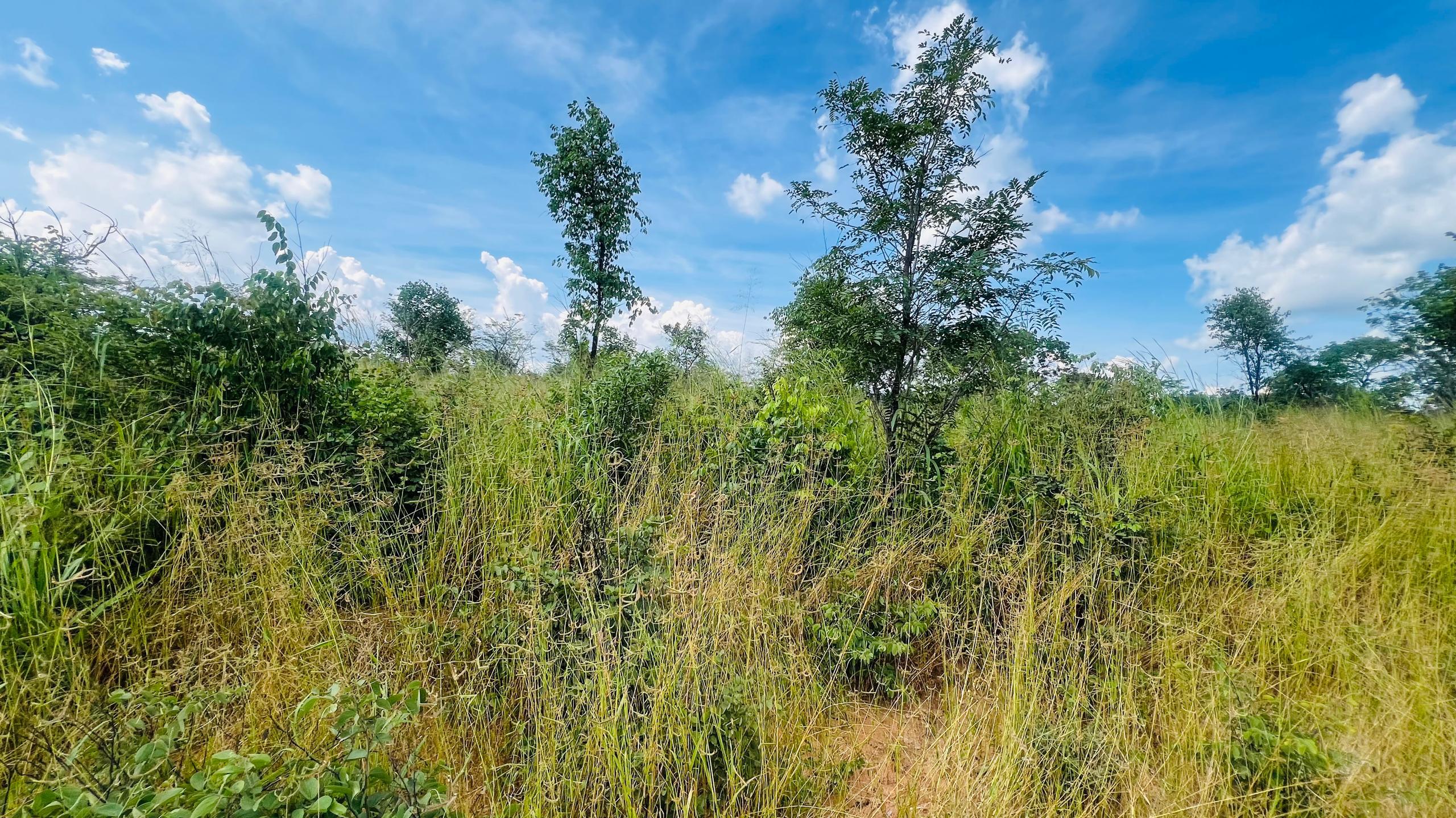 Vacant Residential Plot for sale in Higlands