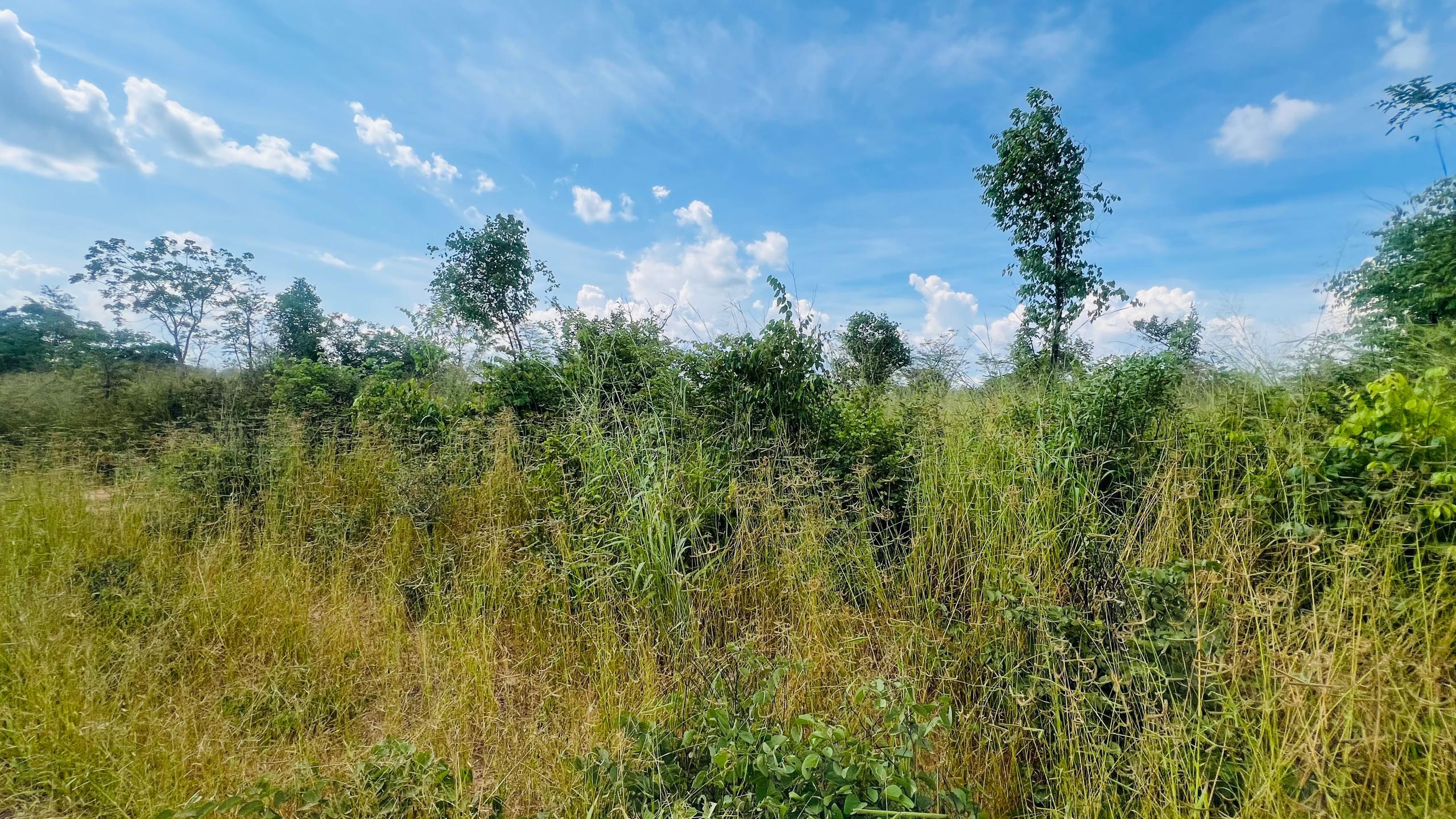 Vacant Residential Plot for sale in Higlands