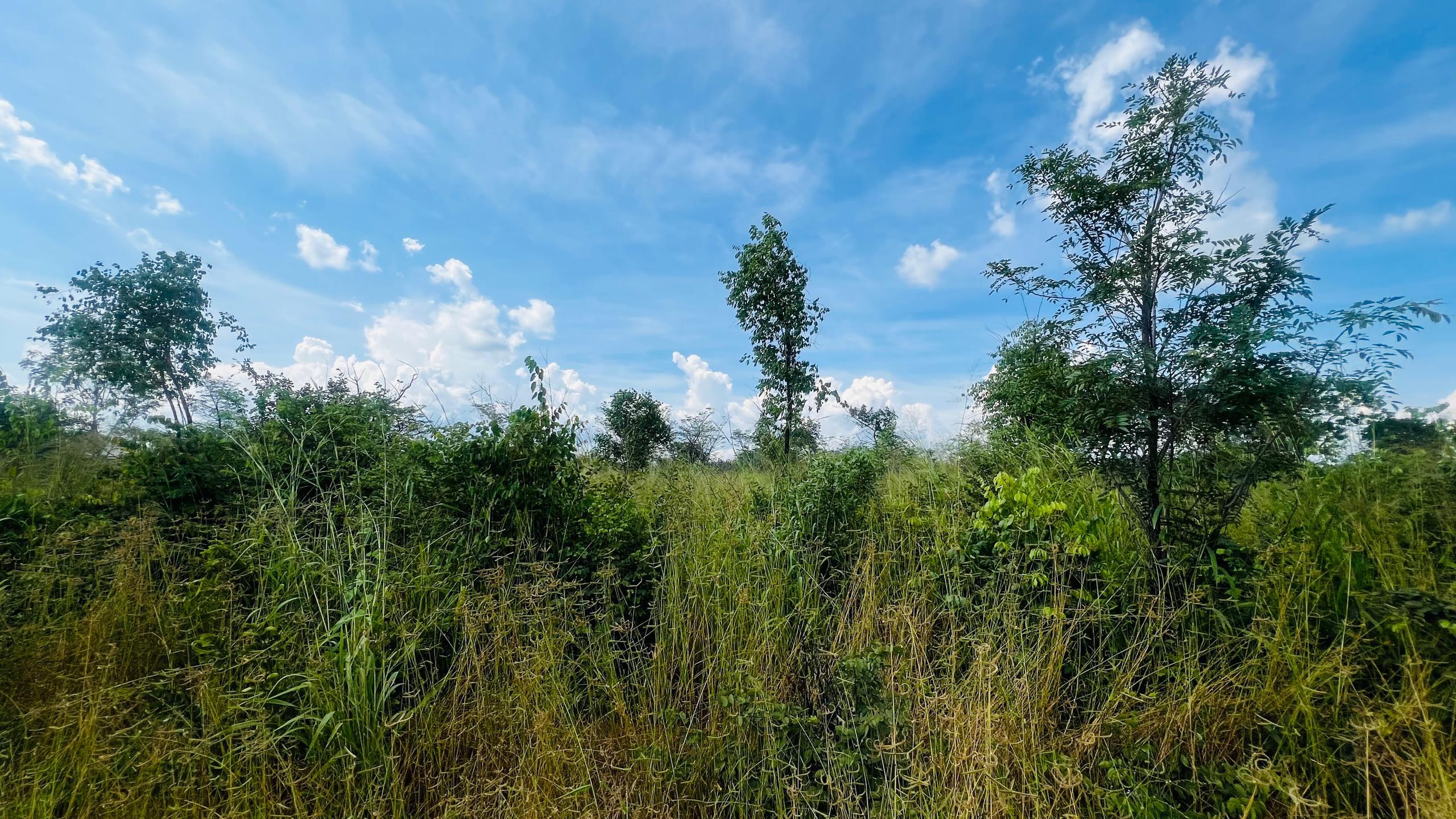 Vacant Residential Plot for sale in Higlands