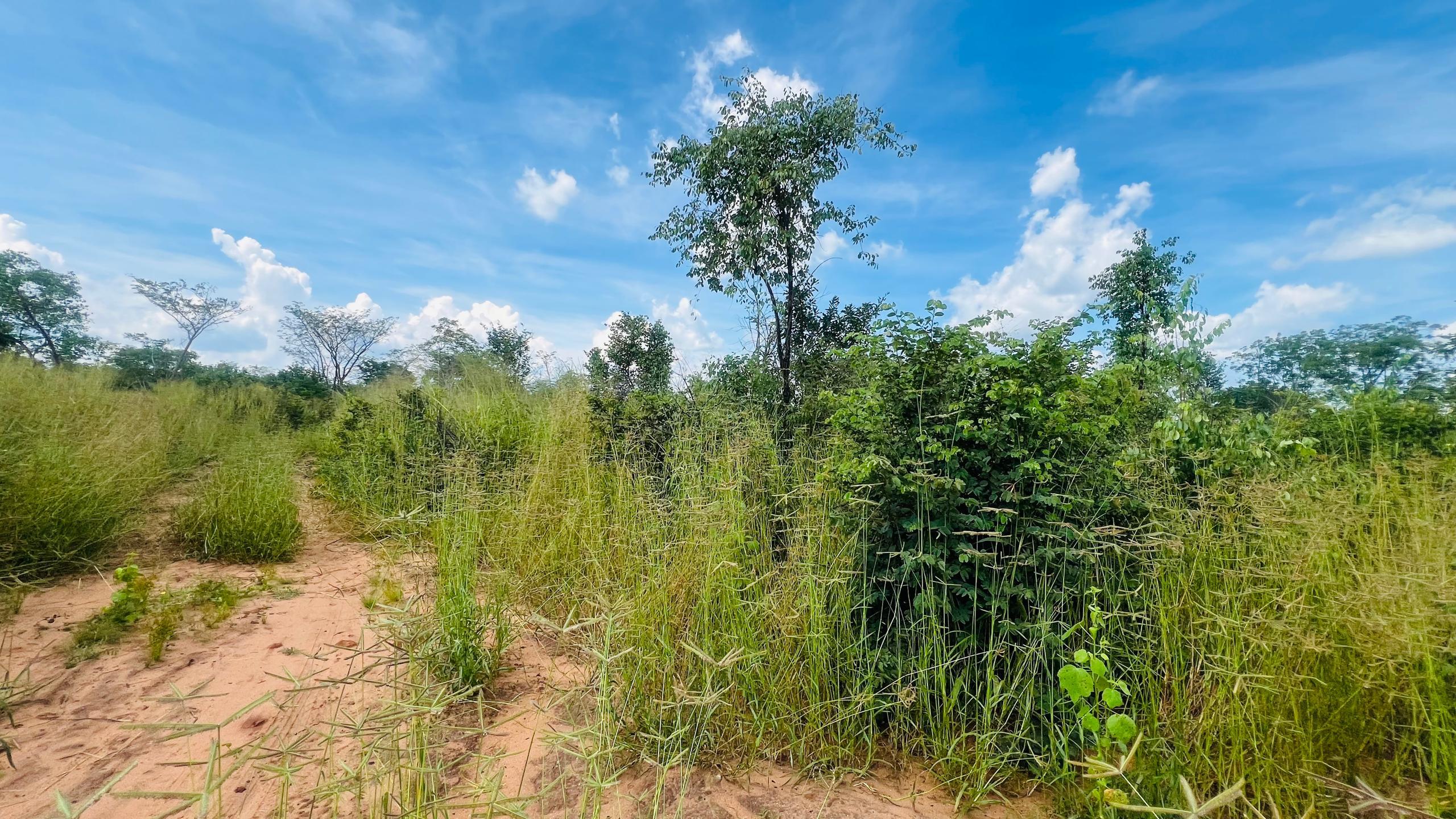 Vacant Residential Plot for sale in Higlands