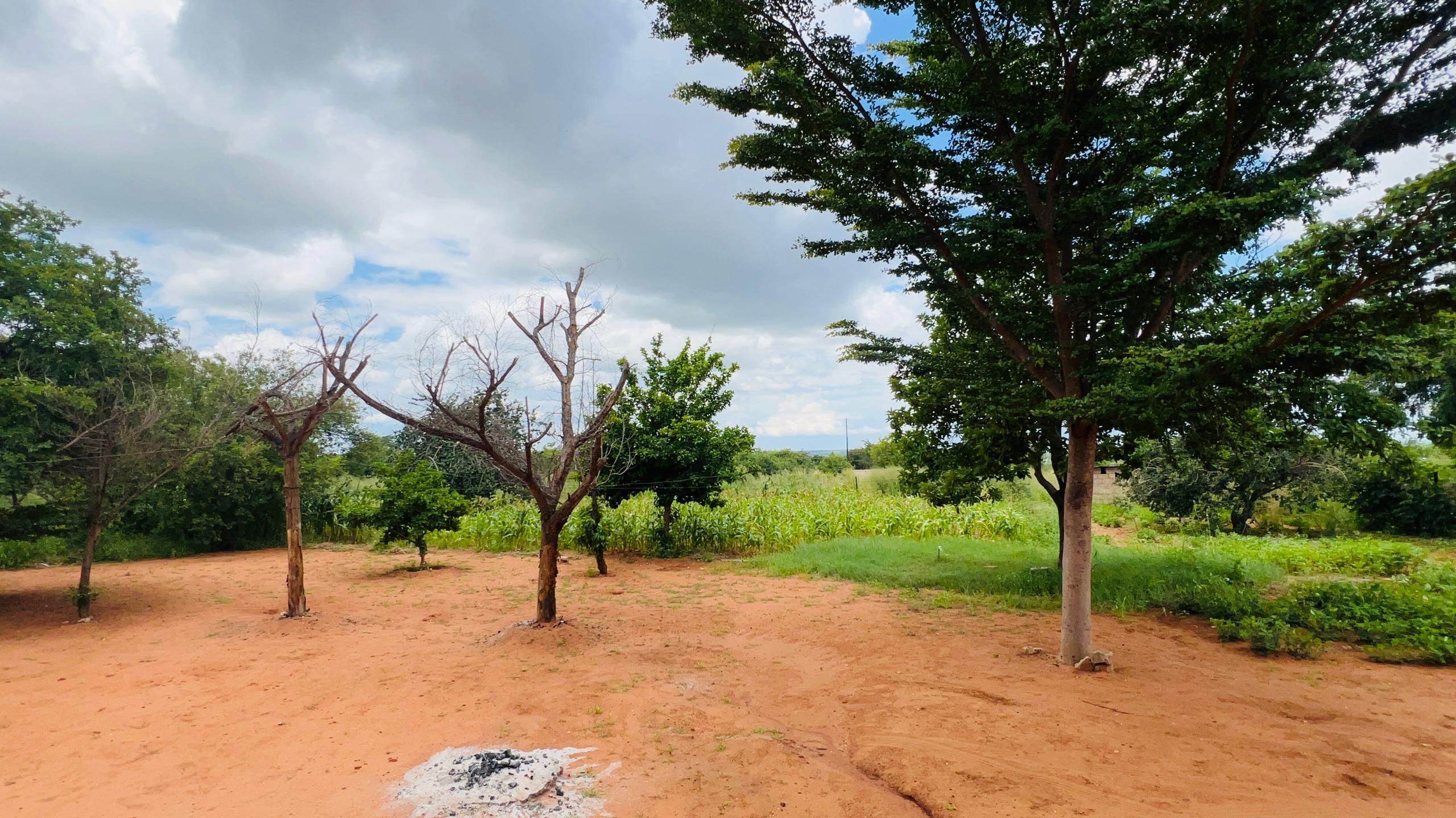 4 bedroom House for Sale in Highlands - Livingstone